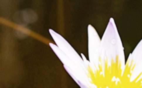 ���P��������300�֣�ͨ��35ƪ��