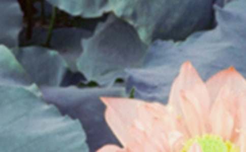 ���K�{�ݳ��ġ�����δ�����������ǂ�(g��)�к������~