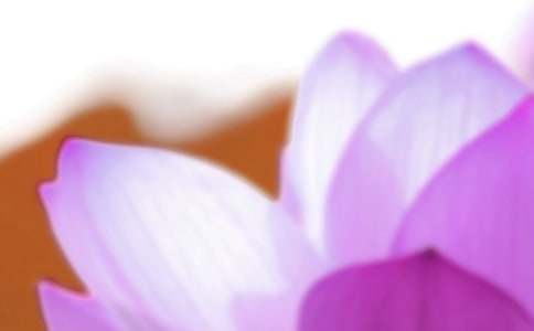 關(guān)于夏至的祝福寄語