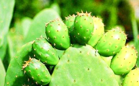 �����Ƶĳ�һ����900��