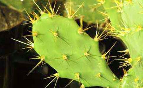 �����Ƶ�����������7ƪ