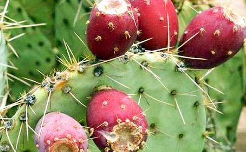 �Ҽҵ������Ƴ��Ѓ�(y��u)������