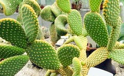 �茑�����Ƶă�(y��u)������400��