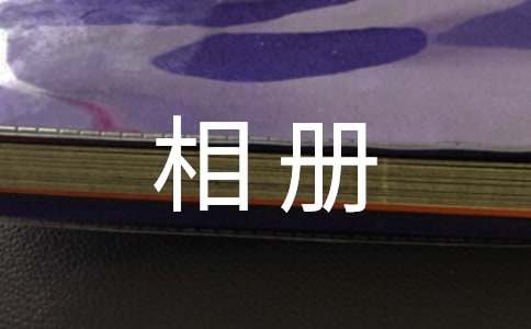 �ְֵ�����(c��)������