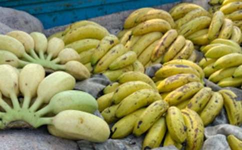 �㽶����400��2017