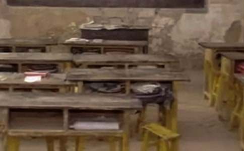 美麗鄉(xiāng)村小學(xué)生作文600字