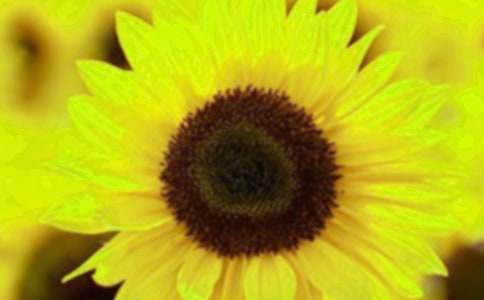 ���տ���(y��u)������900��