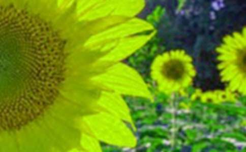 ���տ��^������(11ƪ)