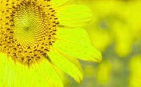 ���x�����տ�����