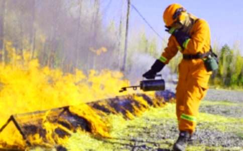 2017��ע��(c��)�������̎���(b��o)���l��