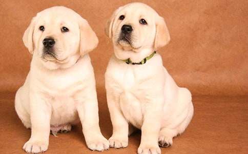 С������С�W(xu��)������