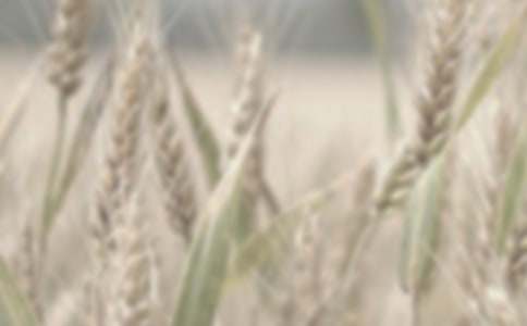 С������700��