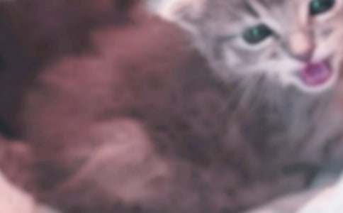 ����(d��ng)��С؈�����ăɰ���