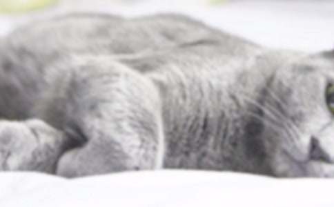 ���xС�W(xu��)��С؈����300�օR��7ƪ