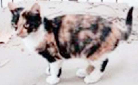 ��(sh��)�õ��Ҽҵ�С؈����400�օR����ƪ