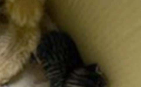 С�u��С؈?ji��n)��Թ��?/></p><h2>��I(y��)�Ļ����v�� ƪ1</h2>
<p>�𾴵ĸ�λ�I(l��ng)��(d��o)����(zh��n)�т���</p><p>������Һã�</p><p>����������ˬ���T���h�㣬���@ϲ�@�S�յļ���(ji��)���҂����Hӭ��(l��i)�˂��y(t��ng)����ѹ�(ji��)���o�҂��g��һ�õ�ϲ���������ڹ�˾����l(f��)չ�������Ѵ��������������ҵĽ�����ӭ��(l��i)�˹�˾����I(y��)�Ļ��£����@ϲ�c���S�յļ���(ji��)��������������Ҷ����鹫˾�ď�(qi��ng)��Ͱl(f��)չ���������ڵĺ�ˮ����Ѫ���I(l��ng)��(d��o)�����w���У��������t��ָ������˾���_�İl(f��)չ������ͬ�������I(y��)�I(y��)���Կ��̈́���ĬĬ��I(xi��n)��������F(tu��n)�Y(ji��)һ������đ�������T���˹�˾һ��(g��)��һ��(g��)���x������(d��ng)Ȼ�����@��һ֧��(y��u)��ĈF(tu��n)�(du��)����Ҳ׌�ҳ��L(zh��ng)�����M(j��n)���ˣ����@����Ҫ���x��˾�o���ҵ��@��(g��)ƽ�_(t��i)�͙C(j��)��(hu��)��</p><p>�������Խ����Ҟ������v���}Ŀ�ǑѴ��ж�֮�ġ���ӭ��\(y��n)������</p><p>��������ǰ��߀һ�ɕ���������������������d��ϣ����̤�������������~�δ�֮־������������֮��(m��ng)����(l��i)����\(y��n)����Ȼ�g�����Ѳ��Ǯ�(d��ng)���ǂ�(g��)�¶�����Ů���ڝ����I(y��)�Ļ���Ѭ������ʹ������ĸ��ܵ�����\(y��n)�@��(g��)���ͥ���P(gu��n)���P(gu��n)�ۣ�����ͼ���������(d��ng)���d���҉�(m��ng)�����d����ϣ�����ǂ�(g��)�����ѱ���\(y��n)�@��(g��)���ͥ��ȡ�������ҵ��ǂ�(g��)���҄t���M�˼��˽o��ĸж����������M(j��n)������������\(y��n)���M(j��n)�˵�������</p><p>���������p�����ء�؟(z��)�κ͘O����������;��M(j��n)�����ƺͳ��L(zh��ng)����</p><p>���������f(shu��)�������p��һ�Tˇ�g(sh��)�����p��һ�N���B(y��ng)�����£����������˵��L(f��ng)�������@�����ǌ�(du��)�҂���˾��´��˵�����ԏጆ����I(l��ng)��(d��o)�������p�����p�P�؇�(y��n)��ͬ���g�໥���p���������\(ch��ng)��������@�������w�F(xi��n)���҂���\(y��n)�˵��L(f��ng)�Ȇ�����(d��ng)Ȼ�����@��(j��ng)��(zh��ng)���ҵ����(hu��)��Ҳ���˸��X���˺ܴ��������S�҂����Էe�O�İ�����(d��ng)����(du��)���(hu��)����(du��)��˾����(du��)����Լ���һ�N؟(z��)����ֻҪ�M�����@��؟(z��)�Σ��@�����҂������ĘO�����������ע�룬������ԴȪ��ֻ�м�����ŕ�(hu��)�ИO�����ǘӾ����҂��ľ��M(j��n)�����ྫ�M(j��n)���҂���(du��)����������(du��)������ŕ�(hu��)�������ƣ��@����������\(y��n)�@Ƭ�����г��L(zh��ng)�������p�����ء�؟(z��)�κ͘O�¡�������;��M(j��n)�����ƺͳ��L(zh��ng)�@�����҂���I(y��)�Ļ�����������һֱ�ԁ�(l��i)���@���ɰ��ҳ��L(zh��ng)���������ڰ�������һ֧��������L(zh��ng)�����������ゃ�����H�۵đ�(zh��n)�т����������е���邃����(d��ng)���������е���ײײ�����y�o(w��)����ʧ�����۵ĕr(sh��)������?y��n)��ゃ��������׌���ڴ��ۺ�ʧ������ʰ��������(y��n)������ゃ�ăA����׌�������y�o(w��)���r(sh��)��Mǰ�M(j��n)�Ą�(d��ng)����ʹ�������@���������ø��Ӄ�(y��u)���������м�������Ҳ����?y��n)��ҵ��@Щ�A��������׌���ڹ����Пo(w��)����������ͬ��ǡ���H����ͬ��Ҋ���������飿�҂��ͺ���һ�l�l��С�����R������\(y��n)�@Ƭ����׌С�����ϵ��˻����L���󺣺β����(sh��)��������������@ô�õĹ����Շ�����������\(y��n)һ�T���Һβ�ԓ�Ѵ�һ�w�ж�֮������˾�β��ǹ��A��</p><p>������������������Ծ��I(y��)�� ���������������ǰl(f��)�P(y��ng)�����Ϲ��е����x��������˾һֱ�ԁ�(l��i)�Ƴ���������ƽ�������^�õļ��l(f��)�ˆT���ĝ�����ʹ�ò�����λ���M��t��������������ǹ�˾�^��ǧ�����˾���Ă�������˾���˞鱾����´�����ÿ��һ�Εr(sh��)�g�ĸ����Ӗ(x��n)���Ą��M(j��n)��˾�����˵���˾�ό��I(l��ng)��(d��o)��һһ����������(y��ng)���n����Ӗ(x��n)��׌�҂�?c��)ڹ�˾���ŵ��@Щ�����Ӗ(x��n)������(qi��ng)�������������ĘI(y��)��(w��)֪�R(sh��)�͘I(y��)��(w��)ˮƽ��ÿ�����(g��)�ѹ�(ji��)����˾�֕�(hu��)�M������S������ˇ���(hu��)���(d��ng)��ʹ�ô���ھo�����߉��Ĺ����Շ��еõ��������S���˴�ҵ�'�I(y��)��������ʹ�ù�������(l��i)�����м����顣���Ŵ�ҵ�ӛ���ﶼ߀��������ĥ�Z��־��܊Ӗ(x��n)�r(sh��)��һ��(g��)Ƭ�����ں�������������ҹ���_Ѿ�������첲����ֻ�Ǟ��˷�Խһ��������K������(l��i)�������ҵļ�򣬁�(l��i)���������ֱ������˿������놖(w��n)һ���܊�đ�(zh��n)�т����ゃ���X����طų����@�ӵ����@�ӵĈ�(ch��ng)��������҈F(tu��n)�Y(ji��)һ������־�ɳ����@��һ��(g��)СС����K��ô����ס�@�Ӛ��(sh��)�����܊��ǰ�еĵ�·�����@�������е���Ӗ(x��n)���������е��S�����w���(d��ng)����������҂���ҵľC�����|(zh��)������(qi��ng)�˼��w�������������҂��V����܊��(zh��n)�т������Ծ��I(y��)���������һ̎��������һ̎ʹ���L(zh��ng)����ָ��һȭ��ǧ�l�龀��һ�K��߅��߅�W(xu��)����һ����ͨ�f(w��n)���������������γ��ИI(y��)ٮٮ�������������@�ӵ�һ��(g��)�����͸��г���Ĵ��ͥ����������\(y��n)һ�T���Һβ�ԓ�Ѵ�һ�w�ж�֮������˾�β��ǹ��A��</p><p>������ì�ܴ����������ϹŴ��t�����ڴˣ��Λrƽӹ����������ƽ�r(sh��)�y��ķ����ì�������҂�����(y��ng)ԓ�������ƽ�r(sh��)�y��Ĭ�����Ҳ�������ҵ��b�O���@�r(sh��)Ҳ�r(sh��)����(hu��)�����I(l��ng)��(d��o)ͬ�µĽ��d���o(w��)�ĵ��^(gu��)ʧ��Ҫ����ȥ����ȥ�л����҂�(g��)���J(r��n)���˵ăr(ji��)ֵ���w�F(xi��n)�ڌ�(du��)�e�˵����ģ������ǽ��X�����ԡ�ͬ���g�������ģ������˲¼�������̹�\(ch��ng)���͑��������������������ɑ]����������߀���˽��X�����������u(y��)��Ҳ�S߀���ܶ������������H�o�Լ�������������Ҳ�鹫˾����һ��(g��)�ܺõ��������҂���ҬF(xi��n)����һ��(g��)���w����˾�o���҂��@ô�õ�һ��(g��)ƽ�_(t��i)������׌�҂��M��չ�F(xi��n)�������l(f��)�]���ң�ͬ�r(sh��)Ҳ׌�҂��໥�W(xu��)��(x��)�M(j��n)������(w��n)�}�mȻ�����������@̎̎��M������M�P(gu��n)�ѵĈF(tu��n)�(du��)�����҂�������ȥ̎��������Q�������F(tu��n)�Y(ji��)��Ҳ������һ��ն��Ŀ�̖(h��o)�������҂��܊�˵ěQ�ġ�������������\(y��n)һ�T���Һβ�ԓ�Ѵ�һ�w�ж�֮������˾�β��ǹ��A��</p><p>������(zh��n)����̖(h��o)������ͬ������(zh��n)�т����ֵܽ��Â������������@һ�εγ�M�ഺ��M������</p><h2>��I(y��)�Ļ����v�� ƪ2</h2>
<p>����߀ӛ�������ڹ�ˇҪ���(y��n)���_�ޕr(sh��)�g��ҹ������횼��r(sh��)���b������׌�a(ch��n)Ʒ���r(sh��)��؛�����b���ͬ������ľ��s�������ќ�(zh��n)�乤�����ã���·�h(yu��n)���˲��һؼ����I�˾ͳ��c(di��n)�S�펧��(l��i)�ĸɼZ�������������_ʼ���@�r(sh��)���f(w��n)�¾�䣬ֻǷ�|�L(f��ng)����(d��ng)��ˇ�r(sh��)�g�����������������D�������\�������𹤾ߴ������(l��i)������ҹ�����o�������b��d��sæ�ß���죡�����������Y(ji��)���������ǵڶ���ķ������mȻ������ƣ���M����߀��Ҫ��(ji��n)�ְ���Ĺ��������˹�(ji��)ʡ�r(sh��)�g�������͹��ϴ����ڿ��b�����(g��)����Ϣһ��(hu��)������?y��n)鲻����������ҪͶ�뵽�µ�һ�칤��֮�С?/p><p>�����@Щƽ���Ĺ�����߀�кܶ�ܶ�������������Ҳ�������w��(hu��)����������?c��)ھ��Ƶ?��(chu��ng)�I(y��)�Ļ���Ĩ�������ص�һ�P���f(w��n)��һ������־���\(ch��ng)�����҂���ҵĹ�ͬŬ�����������ѽ�(j��ng)�����w���ИI(y��)��(n��i)��¶�^�ǣ�</p><p>����߀����ʲô��(l��i)�C�����ƹ�˾ʮһ���(l��i)ȡ�õĳɿ�(j��)������Ո(q��ng)�㿴���҂���߅�@һ����ӛ䛾��ưl(f��)չʷ�ĈDƬ�����������҂����������^(gu��)�Ą�(chu��ng)�I(y��)�v�������µ�һ������(ji��n)��(sh��)���_ӡ�᣿��</p><p>������ʲô�ɾ��˾��ƣ����D���^������(w��)��(sh��)��ɵľ������ǸҞ�����������ֱǰ�Ą�(chu��ng)�I(y��)���</p><p>����550��������a(ch��n)Ʒ�ć�(gu��)���b�����ͨ�^(gu��)���S�^(q��)�Ľ��O(sh��)���o��ܹĵ��M(j��n)������˾��(du��)δ��(l��i)�{(l��n)�D����ʹ�҂���M��ϣ�����҂�Ҫ�^�m(x��)�ԡ���(w��)��(sh��)�����I(y��)����(chu��ng)������Ч�����L(f��ng)ò��ͬ��ͬ��������(sh��)������׌���������w��(chu��ng)�I(y��)��(j��ng)��(j��)����Ҏ(gu��)�l(f��)չ�����������ؕ�I(xi��n)���҂���Ҫ�l(f��)�P(y��ng)�r(sh��)�ڵ����w�������F(tu��n)�Y(ji��)�^�M(j��n)����ԇ���J����(w��)��(sh��)��ɡ������ԏ�(qi��ng)���Ѿ��ƽ��O(sh��)���Ї�(gu��)�C(j��)��ИI(y��)���I(l��ng)�^����</p><h2>��I(y��)�Ļ����v�� ƪ3</h2>
<p>�𾴵ĸ�λ�I(l��ng)��(d��o)����λͬ�£�<br/></p><p>����������Ϻã��ҁ�(l��i)����̖(h��o)����p���ҽ������(y��ng)�������v���}Ŀ�ǣ���(r��n)(li��n)���ͥ��</p><p>��������XX��8��25����ʽ�M(j��n)�띙(r��n)(li��n)�B�i�̘I(y��)���޹�˾���mȻ�M(j��n)��ĕr(sh��)�ⲻ�L(zh��ng)�����s���������m�Ĺ����h(hu��n)������߅Ŭ��������ͬ�º�ƽ�׽��˵��I(l��ng)��(d��o)������������͸�^(gu��)ԃ��(w��n)�����˽⵽�҂���˾������XX��6��25���������ֹ����6�ҷֵ��������ڵ���̖(h��o)����XX��12��27�������˿��ѽ�(j��ng)�����ĕr(sh��)���ˣ��ɴ˿�Ҋ���҂���˾�İl(f��)չ�ٶ����ஔ(d��ng)?sh��)ؿ�?/p><p>�����f(shu��)��(sh��)Ԓ���ԏĮ��I(y��)�Ժ���һ���ڹ��S��������������w�(y��n)������ˮ���������Ƕ�ô�Ŀ����ζ��ÿһ��C(j��)е�������ͬ�ӵ������](m��i)�м�����Ҳ�](m��i)���κε�'����(zh��n)���������ü��Ę����һ�c(di��n)��w���](m��i)�������e�f(shu��)��˾��(hu��)��ʲô���(d��ng)֮��(n��i)����׌�T���°���܉�úõķ���һ�����ʘ�(l��)һ�����@��һ�������һ��(g��)�������һ��߀������������ܶ��˹����ˎ��꣬�I(l��ng)��(d��o)�B���ʲô���ֶ����������@�ӵ�������I(y��)�к��ձ�Ĵ������mȻ�f(shu��)���Y߀���܉����������^(gu��)�Ĳ����_�������������İ����wҲ������������@�ӵ������l(shu��)����Ը��ȥ�^(gu��)��</p><p>�������M(j��n)�띙(r��n)(li��n)�Ժ��Ұl(f��)�F(xi��n)���ҹ����ļ����ֱ�����������?y��n)��҅����?��28̖(h��o)�����e�еđc��(gu��)�cӭ������ˇ���(hu��)�������(hu��)���ұ����˃ɂ�(g��)��(ji��)Ŀ����(d��ng)�ұ��ݡ�����cС���ӡ��@��(g��)СƷ�ĕr(sh��)���� ���I(l��ng)��(d��o)��ͬ���������ҵ������M�˼���(d��ng)�͸м�֮�������(hu��)׌�Ҹ��ܵ��˝�(r��n)(li��n)���ͥ�Ĝ�ů�͚g��(l��)��ԭ������߀�܉���˵Ķ��˶�ʡ�һ�Εr(sh��)��Ľ��|���Ұl(f��)�˿̝�(r��n)(li��n)��(j��ng)����(hu��)�e���@�ӵĻ��(d��ng)���ڻ��(d��ng)���܉���I(l��ng)��(d��o)��ͬ��?c��)�һ�R��������Մ?w��)�������Մ�(w��)��������@�ӵ�����׌���_�_���ĵĶ��^(gu��)��ÿһ�졣���@�Εr(sh��)�����ҽ�(j��ng)����(hu��) �������f(shu��)��һ��Ԓ�����f(shu��)����������R������(l��i)һ������������@��Ԓ�o��ӳ���������ٝ�(r��n)(li��n)�r(sh��)�r(sh��)�̶̿������(zh��n)�������_(t��i)��ֻҪ���Н������в�ˇ�����܉������_(t��i)�ϱM��İl(f��)�]����˾����(hu��)��](m��i)�κ��˲ţ�������һ��Ԓ��ֻҪ���ǽ�����������ʼ�K��(hu��)�l(f��)�����</p><p>���������M(j��n)�빫˾�ĕr(sh��)����ֻ�X�ô������r�´����I(l��ng)���������L(f��ng)�܎��������¶��ܺ�(ji��n)����������һ�Εr(sh��)������Ұl(f��)�F(xi��n)�����кܶ��|������������(g��)���Ǟ���̎�·���������׌�Ҹ��X����ã��������ԓ����ȥ�����ܰ������á��҂�����Ҳ�f(shu��)�^(gu��)�����f(shu��)����Ҫ�ɞ�����������Ҫ�W(xu��)��(hu��)ȥ�f(shu��)��ҲҪ�W(xu��)��(hu��)ȥ����ֻ��(hu��)�f(shu��)����(hu��)��������ֻ��(hu��)������(hu��)�f(shu��)�����У���(j��ng)�^(gu��)һ��(g��)���µ�呟�������ĸ��X�����ҵ�׃���ܴ����M(j��n)���˺ܶ���׃��đ���ļ�(x��)�ˣ�̎�톖(w��n)�}��������ǰ�ǘ���ã�����S������һ��һ����^(gu��)ȥ���Ұl(f��)�F(xi��n)����Խ��(l��i)Խϲ�g����������?y��n)�?r��n)(li��n)׌���������ҌW(xu��)��(x��)�Ė|��߀�кܶ���׌�������ˣ����܉�ֹͣ�όW(xu��)�����㲻��ֹͣ�W(xu��)��(x��)���ǝ�(r��n)(li��n)׌�Ҹ��ܵ������������ăr(ji��)ֵ��׌�����ˊ^����Ŀ��(bi��o)�����˹����ļ������������Ҵ_�_��(sh��)��(sh��)�ČW(xu��)��(hu��)�˺ܶ��ڌW(xu��)У�W(xu��)�����Ė|�����@�ӼȎ�æ�˹�˾�ֳ䌍(sh��)�����ҺΘ�(l��)�����������Ҟ��ܳɞ静(r��n)(li��n)���ͥ��һ���Ӷ��е������Ժ���������Ո(q��ng)?ji��n)��S�����\(ch��ng)�Č�(du��)��˾�f(shu��)һ�����x��</p><p>�����о�ǧ���(l��i)����(hu��)���ڝ�(r��n)(li��n)�@��(g��)���ͥ�����Ё�(l��i)������ĺ�����������Ҳ��oǧ���(l��i)��ͬһ��(g��)�����¹������@��һ�N�y�õľ������ҕ�(hu��)�ú���ϧ�@�ݾ��������ֵܽ��Â��кõ���̎��������~�ﳪ���ǘӣ��҂������H���۵�һ�������͑�(y��ng)Ҫ������æ����ͬ�M(j��n)�������Ժ�����������ҕ�(hu��)�M��������Ŭ���鹫˾Ҳ������ƴ�����^�����������ҵ�����ǰ�M(j��n)��������</p><p>�������ʮ�ָ��x��λ�I(l��ng)��(d��o)�o�����@�����v�ęC(j��)��(hu��)�����x�u(p��ng)ί���������е�ͬ�½o�ҵ�֧�ֺ͹Ą�(l��)�����x������ҵ����v���˽Y(ji��)����</p><h2>��I(y��)�Ļ����v�� ƪ4</h2>
<p>��ͬ־����</p><p>�����������҂��g���ڴ˹�ͬ�c�R��������˾�׌���I(y��)�Ļ���(ji��)�_Ļ���Դ�ӭ�����A���񹲺͇�(gu��)56�q�A�Q���o(j��)���40���������s��I(y��)�Ļ����O(sh��)����I(y��)�Ļ���(ji��)�ĳɹ��e�k�����P(gu��n)�҂���˾�^���_��(l��i)�����M(j��n)�l(f��)չ�����˚g�������һ���������ڴ����Ҵ�����˾��(j��ng)�I(y��ng)��������I(y��)�Ļ���(ji��)��¡���_Ļ��ʾ���ҵ�ף�R��</p><p>����ͬ־������������������������vʷ���L(zh��ng)�ӝL�L��ǰ�������I(y��)40����L(f��ng)��v�����ǏV���������ڵĄڄ�(d��ng)�ͺ�ˮ����(chu��ng)���˝M�dʷ��(c��)���x�ͳɾ����V����һ������(d��ng)�˵�ƪ�����҂�����(y��ng)ԓ��ӛ��40��ǰ���@Ƭ��ʏ�ďU����������һ�����������ߑ{���B��(qi��ng)����־�͑�(zh��n)�춷�ص��������ԘO��Ĺ����������˷��N�N���y�����^������4�_(t��i)12.5�f(w��n)ǧ�ߙC(j��)�M����һ������ʡ��(n��i)�����l(f��)늏S���鱾�؅^(q��)�Ĺ��r(n��ng)�I(y��)�l(f��)չ�ṩ�ˏ�(qi��ng)��Ą�(d��ng)����Դ���S��˾�I(l��ng)��(d��o)�ַe�O������I(y��)�l(f��)չ�Ѵ�֮·���ژO�����y�ėl�������_ʼ��2�_(t��i)30�f(w��n)ǧ�ߙC(j��)�M���_�����O(sh��)�����а���ĕr(sh��)�g�����O(sh��)���f(w��n)�����F(xi��n)�����l(f��)���I(y��)��Ŀ��(bi��o)���õ���(sh��)�F(xi��n)������ĳɾͣ���40���(l��i)����(j��)�I(l��ng)��(d��o)�H���P(gu��n)�ѵĽY(ji��)��������ȫ�w�ɲ�����(l��)���D�����D����(chu��ng)�I(y��)��`�Y(ji��)������ˣ��Ҵ�����˾�I(l��ng)��(d��o)��(du��)40���(l��i)������I(y��)�ĸ�l(f��)չ����ؕ�I(xi��n)�ĸ���(j��)�I(l��ng)��(d��o)��ȫ�w���Լ��o�����֧�ֵ����Ҍٱ�ʾ���ĵĸ��x��</p><p>�����ڻ�ɿ�(j��)��ͬ�r(sh��)���҂�Ҳ������ѵ��J(r��n)�R(sh��)����(d��ng)ǰ��I(y��)���R�����y�������ǽ������(l��i)���S�������I(y��)�ĸﲻ������l(f��)���I(y��)��(j��ng)��(zh��ng)��څ�����������ú�r(ji��)������ϝq����˾�B��̝�p���o�҂��Ľ�(j��ng)�I(y��ng)��������(l��i)��ǰ��δ�еĉ��������y��Ҫ�A�M����ϼ�(j��)���_(d��)��������(xi��ng)؟(z��)����Ŀ��(bi��o)����(sh��)�F(xi��n)�p̝��Ч���e�O���M(j��n)��I(y��)���(xi��ng)�ƶȸĸ����M�����y�^�������鹫˾��(j��ng)�I(y��ng)�����҂���M�����������Ž�(j��ng)�^(gu��)����������Ŭ�����҂���˾һ���ܑ�(zh��n)�����y���߳�����������������ل�(chu��ng)��I(y��)�µ��x����</p><p>���������������h(hu��n)���͗l���£��҂�����I(y��)�Ļ���(ji��)�_Ļ�������O(sh��)���M(j��n)����I(y��)�Ļ��������I(y��)���ĸ�(j��ng)��(zh��ng)������Ҫ���C��һ��(g��)��I(y��)Ҫ�l(f��)չ��Ҫ�M(j��n)���������һ�N����׷���������o�o������һ�����F(tu��n)�Y(ji��)һ�����c��I(y��)�s���c�����҂��e�k��I(y��)�Ļ���(ji��)��Ŀ��������Ҫ���˞鱾������I(y��)��(n��i)���I(y��ng)��һ�N�߰�������M�M(j��n)ȡ�����c�������Ļ��Շ�����������(qi��ng)����������������������ۍ����I(y��)���o(w��)˽��I(xi��n)�����X�����������O(sh��)һ֧���Έ�(ji��n)�������g(sh��)��տ�����L(f��ng)��(y��u)�������(du��)�������M(j��n)��I(y��)���(xi��ng)Ŀ��(bi��o)�ĈA�M��ɡ���I(y��)�Ļ����O(sh��)��һ�(xi��ng)�L(zh��ng)�ڵ�ϵ�y(t��ng)��������Ҫȫ�w�����L(zh��ng)�ڵ����a(ch��n)����(j��ng)�I(y��ng)�͹��팍(sh��)�`�����្�γ�����ȫ�w���J(r��n)�ɺ���أ�������l(f��)չ��(chu��ng)������������I(y��)�����a(ch��n)����(j��ng)�I(y��ng)��������ע���µ����C(j��)�c������</p><p>����ͨ�^(gu��)�@����I(y��)�Ļ���(ji��)��׌��ҷe�O���cϵ���Ļ��w�����(d��ng)������Ҫ׌�V�������ܵ���I(y��)�l(f��)չ�Ļ������M��չ�F(xi��n)��I(y��)��������ľ����L(f��ng)ò������(qi��ng)��(zh��n)�ٮ�(d��ng)ǰ���y�����ĺ�������M�����Ͷ�뵽��I(y��)�ĸ�l(f��)չ�ͷ�(w��n)���ľ��w���������l(f��)�]�����ǣ���A�M���ȫ�깤���΄�(w��)������(y��ng)�е�ؕ�I(xi��n)��</p><p>����������A(y��)ף��˾�׌���I(y��)�Ļ���(ji��)ȡ�ÈA�M�ɹ���</p><p>�����x�x�����</p><h2>��I(y��)�Ļ����v�� ƪ5</h2>
<p>�𾴵ĸ�λ�I(l��ng)��(d��o)����λͬ�£�</p><p>����������Ϻ�!</p><p>�����ҁ�(l��i)����̖(h��o)����p���ҽ������(y��ng)�������v���}Ŀ�ǣ���(r��n)(li��n)���ͥ!</p><p>��������XX��8��25����ʽ�M(j��n)�띙(r��n)(li��n)�B�i�̘I(y��)���޹�˾!�mȻ�M(j��n)��ĕr(sh��)�g���L(zh��ng)�����s���������m�Ĺ����h(hu��n)������߅Ŭ��������ͬ�º�ƽ�׽��˵��I(l��ng)��(d��o)������������ͨ�^(gu��)ԃ��(w��n)�����˽⵽�҂���˾������XX��6��25�գ������ֹ����6�ҷֵ꣬�����ڵ���̖(h��o)����XX��12��27�������F(xi��n)���ѽ�(j��ng)�����ĕr(sh��)�g��!�ɴ˿�Ҋ���҂���˾�İl(f��)չ�ٶ����ஔ(d��ng)?sh��)ؿ?</p><p>�����f(shu��)��(sh��)Ԓ���ԏĮ��I(y��)�Ժ���һֱ�ڹ��S��������������w�(y��n)������ˮ���������Ƕ�ô�Ŀ�������ζ��ÿ��C(j��)е�������ͬ�ӵ������](m��i)�м��飬Ҳ�](m��i)���κε�����(zh��n)��!�����ü��Ę����һ�c(di��n)���鶼�](m��i)�������e�f(shu��)��˾��(hu��)��ʲô���(d��ng)֮��(n��i)����׌�T���°����Ժúõķ���һ�¡��ʘ�(l��)һ��!�@��һ�������һ��(g��)�������һ��߀������������ܶ��˹����ˎ������I(l��ng)��(d��o)�B���ʲô���ֶ���֪�����@�ӵ�'������I(y��)�к��ձ�Ĵ������mȻ�f(shu��)���Y߀��������������^(gu��)�Ĳ����_�ģ����������İ����wҲ������������@�ӵ������l(shu��)����Ը��ȥ�^(gu��)!</p><p>�������M(j��n)�띙(r��n)(li��n)�Ժ��Ұl(f��)�F(xi��n)�Լ������ļ����ֱ�����������?y��n)��҅����?��28̖(h��o)�����e�еđc��(gu��)�cӭ������ˇ���(hu��)�������(hu��)���ұ����˃ɂ�(g��)��(ji��)Ŀ����(d��ng)�ұ���