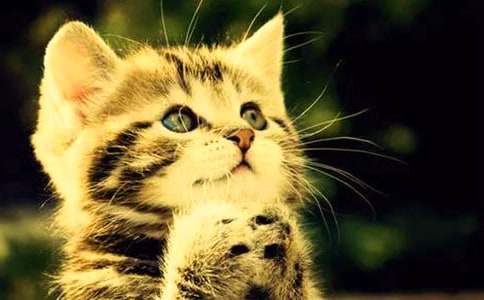 ������С؈������