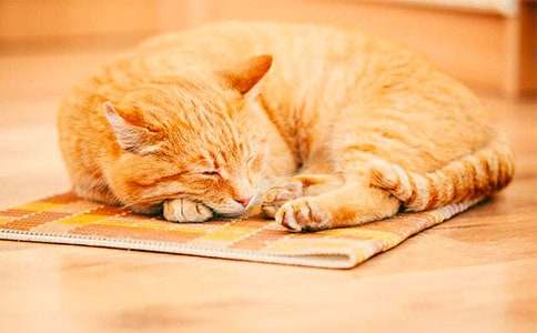 �������ģ��^��С؈