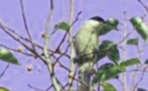 ���xС�B(ni��o)��ͯԒ���ĺϼ���ƪ