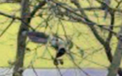 ��׃��С�B(ni��o)���ģ����x25ƪ��