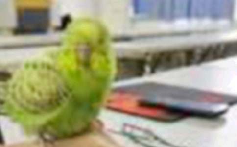 С�B��ͯԒ����600��9ƪ