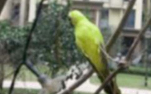 �܂���С�B(ni��o)���D��(xi��)Ԓ(hu��)���ģ����x20ƪ��