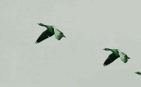 ���᡿��ŭ��С�B����