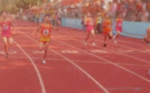 С�W(xu��)�\(y��n)�ӕ�����300��10ƪ