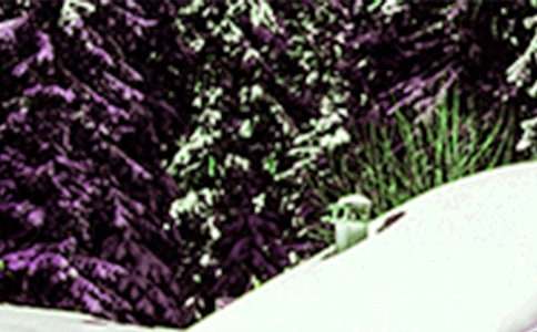 Сѩ���Ľ�(j��ng)�v����