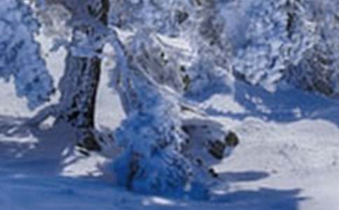 Сѩ����ͯԒ����