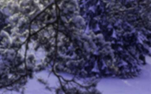 給小雪的一封信(精選10篇)