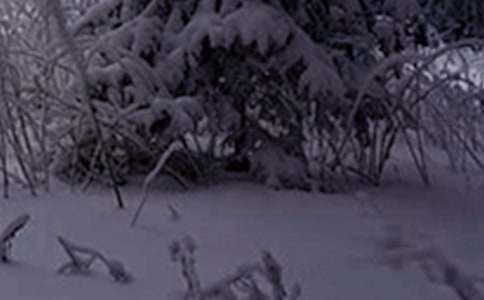 ����һ��Сѩ�����ģ����x27ƪ��