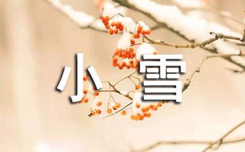 關(guān)于語(yǔ)言小雪節(jié)氣教案(通用12篇)
