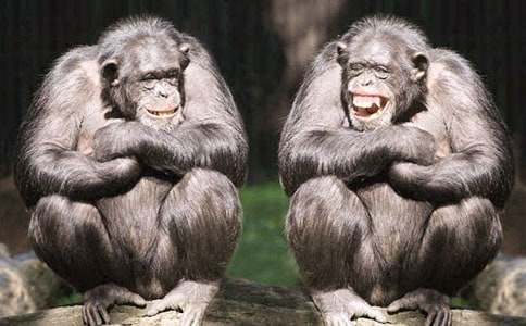 �����������������꼉����