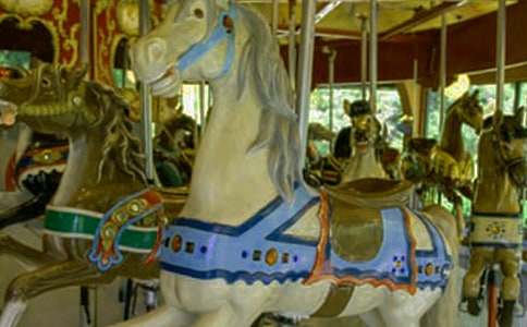 旋轉(zhuǎn)木馬作文600字(通用22篇)