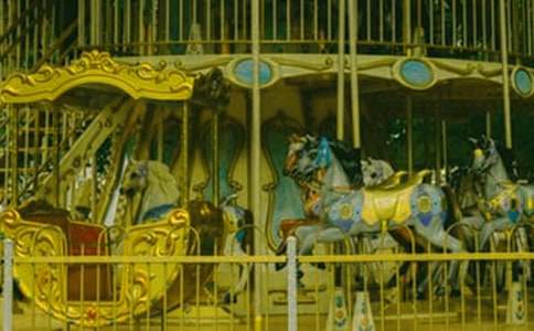 �����D(zhu��n)ľ�R������300�֣����x33ƪ��