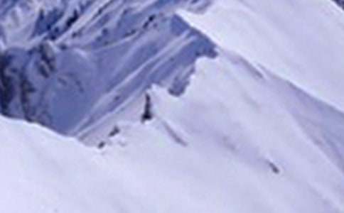 ��������ѩɽ����600��