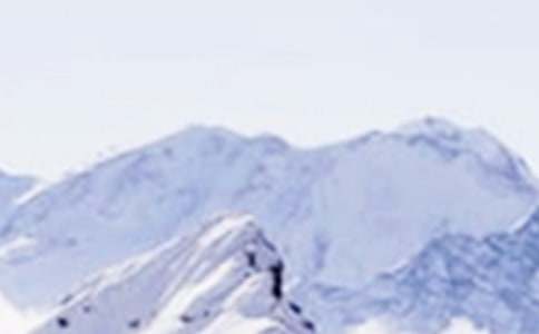 ������ѩɽ����(11ƪ)