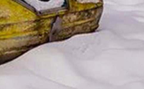 ѩ��(z��i)�����ز�