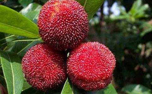 ����(sh��)�á���÷����300����ƪ