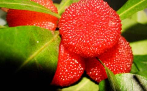 ��÷����400��3ƪ