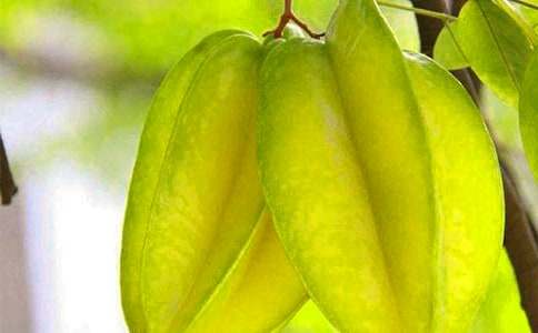 �������n��ԭ��