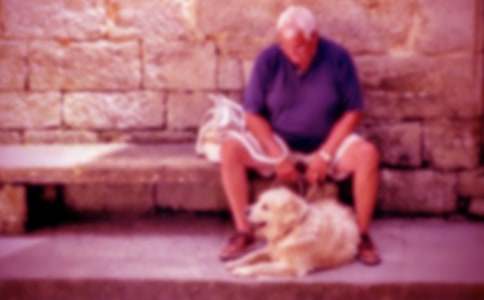 �����Ġ�������