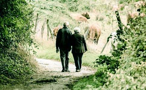 爺爺我想對您說作文