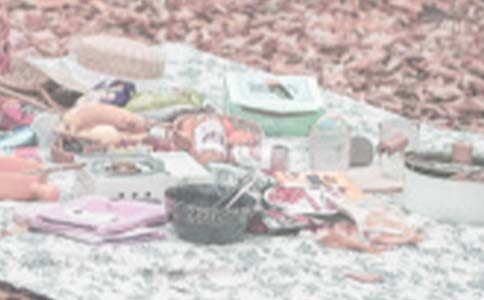 快樂的野餐作文精選5篇