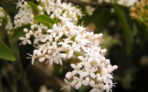 ������ҹ��(l��i)������