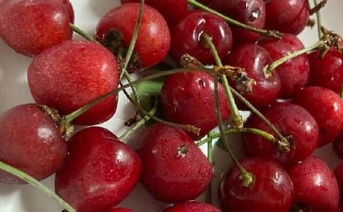 故鄉(xiāng)的櫻桃花450字作文