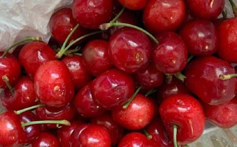 �P(gu��n)�ڙ��Ҙ������