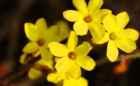 ������ӭ����������