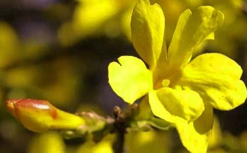 ӭ��������